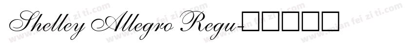 Shelley Allegro Regu字体转换